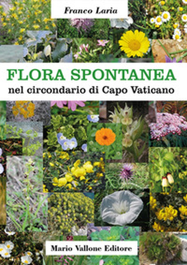 Flora spontanea nel circondario di Capo Vaticano - Librerie.coop