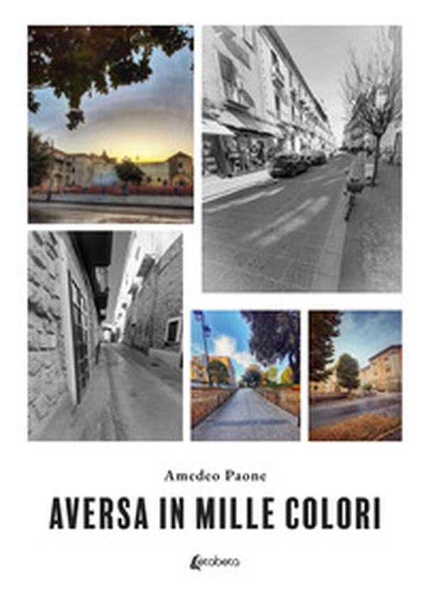 Aversa in mille colori - Librerie.coop Aversa in mille colori - Librerie.coop