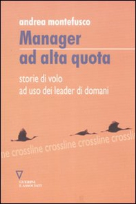 Manager ad alta quota. Storie di volo ad uso dei leader di domani - Librerie.coop