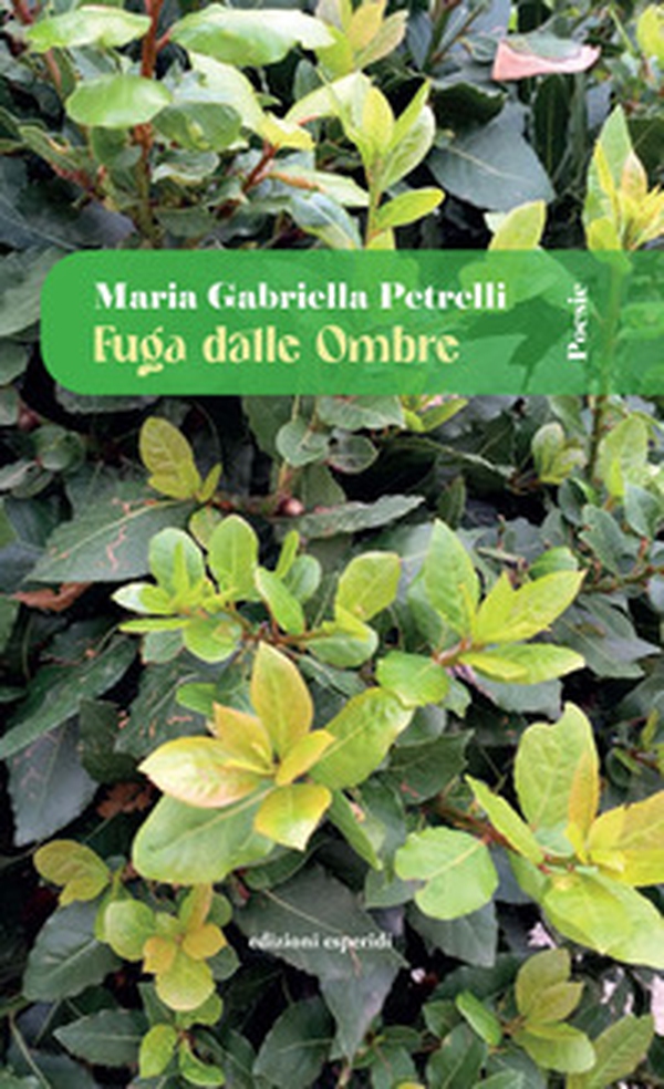 Fuga dalle ombre - Librerie.coop Fuga dalle ombre - Librerie.coop