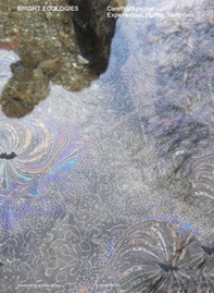 Bright Ecologies. Caretto/Spagna: experiences, forms, materials. Ediz. italiana e inglese - Librerie.coop