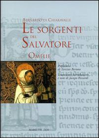 Le sorgenti del Salvatore. Omelie - Librerie.coop