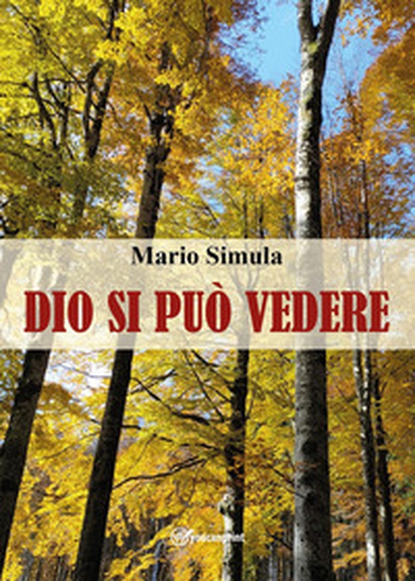 Dio si può vedere - Librerie.coop Dio si può vedere - Librerie.coop
