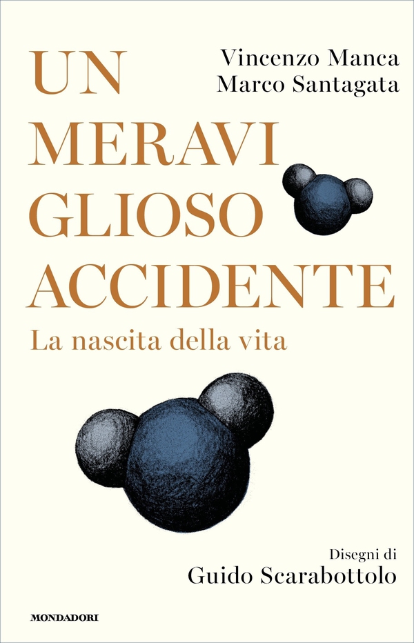 Un meraviglioso accidente - Librerie.coop Un meraviglioso accidente - Librerie.coop
