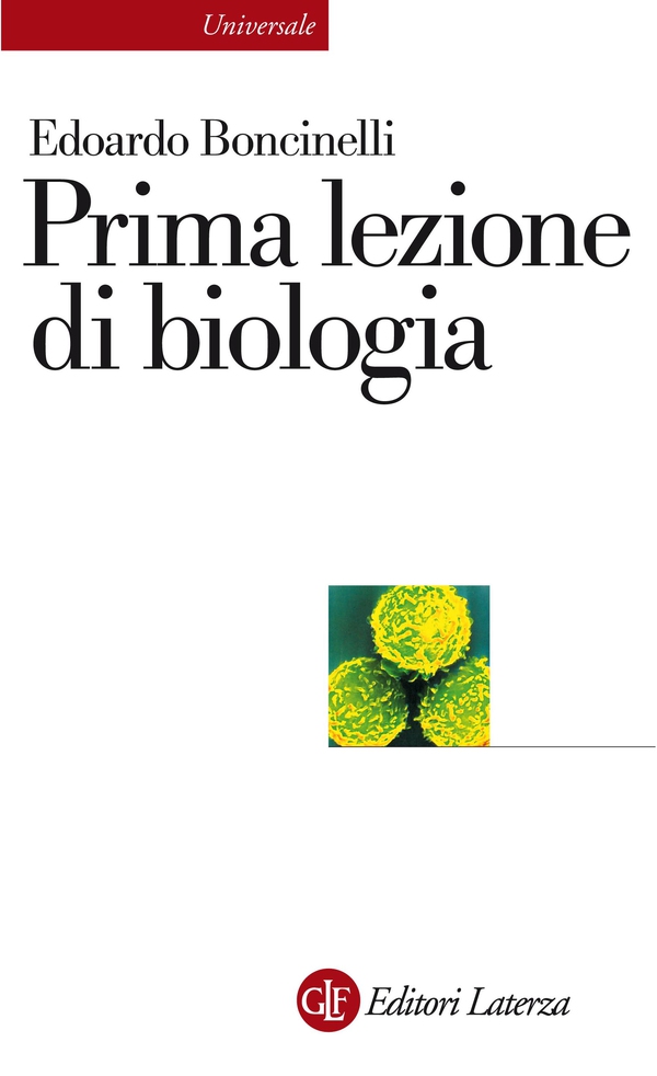 Prima lezione di biologia - Librerie.coop Prima lezione di biologia - Librerie.coop