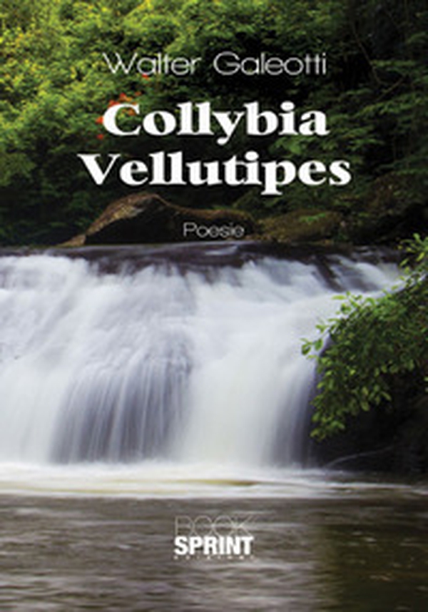 Collybia Vellutipes - Librerie.coop