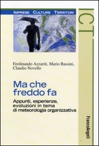 Ma che freddo fa. Appunti, esperienze, evoluzioni in tema di meteorologia organizzativa - Librerie.coop