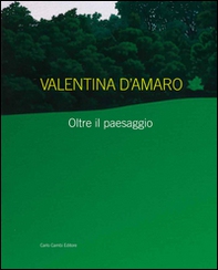 Valentina D'Amaro. Oltre il paesaggio. Ediz. italiana e inglese - Librerie.coop