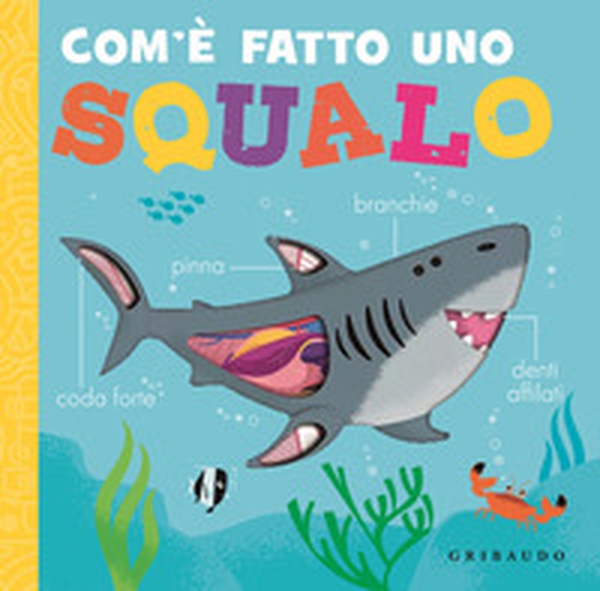 Com'è fatto uno squalo - Librerie.coop Com'è fatto uno squalo - Librerie.coop