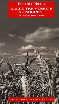 Dalle Tre Venezie al Nordest - Librerie.coop