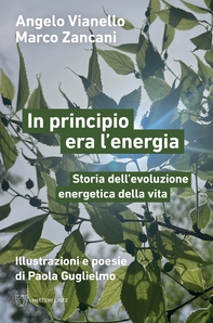 In principio era l’energia - Librerie.coop