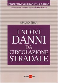 I nuovi danni da circolazione stradale - Librerie.coop