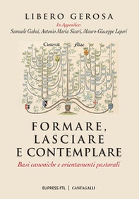 Formare, lasciare e contemplare. Basi canoniche e orientamenti pastorali - Librerie.coop