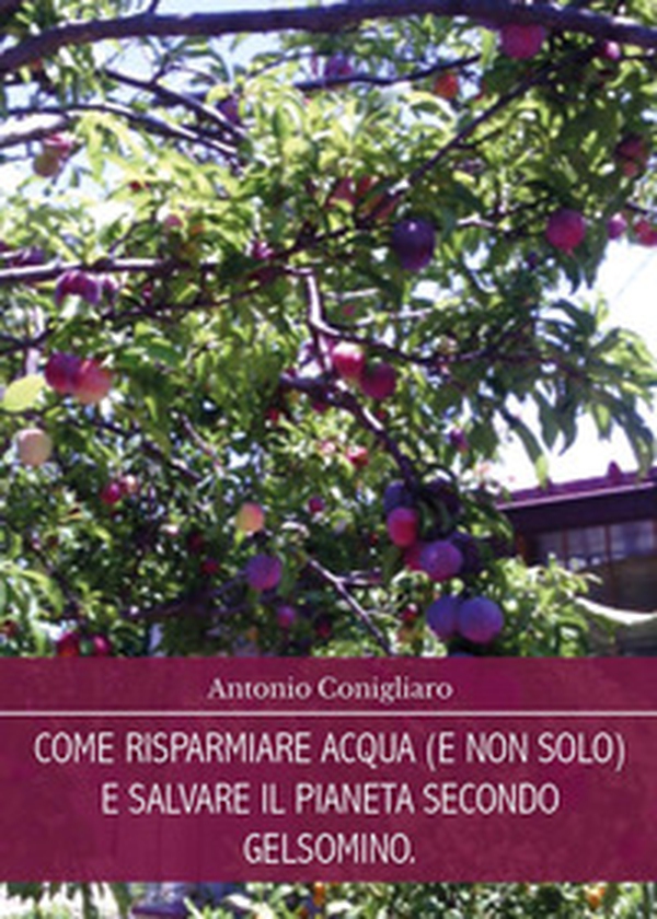 Come risparmiare acqua (e non solo) e salvare il pianeta secondo Gelsomino - Librerie.coop Come risparmiare acqua (e non solo) e salvare il pianeta secondo Gelsomino - Librerie.coop
