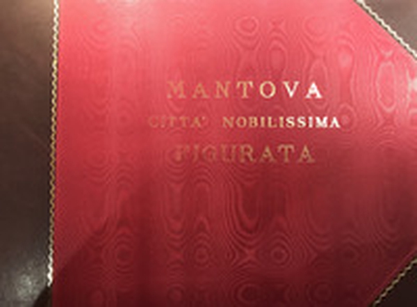 Mantova città nobilissima figurata - Librerie.coop Mantova città nobilissima figurata - Librerie.coop