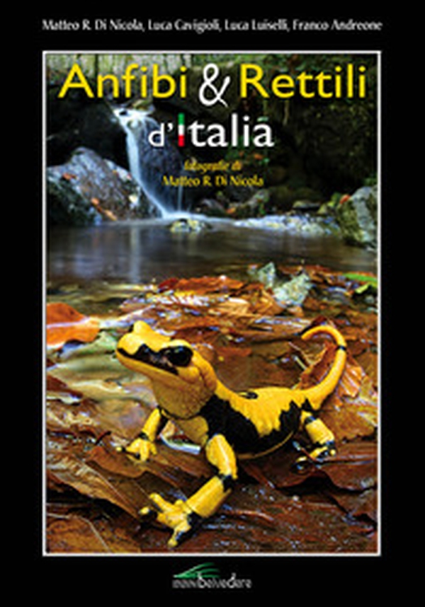 Anfibi & rettili d'Italia - Librerie.coop Anfibi & rettili d'Italia - Librerie.coop