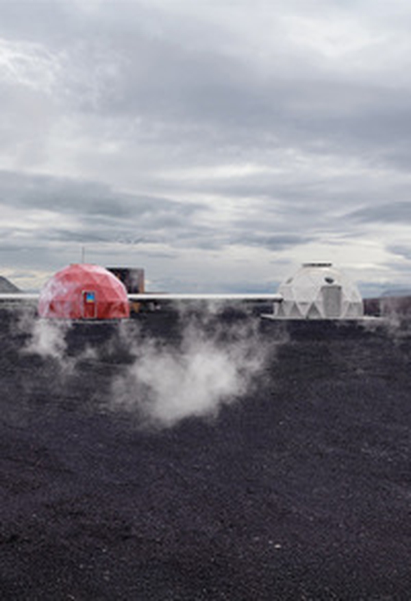 Net-Zero Transition. Ediz. italiana e inglese - Librerie.coop