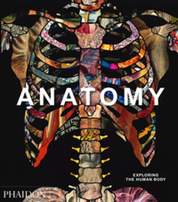 Anatomy. Exploring the human body - Librerie.coop Anatomy. Exploring the human body - Librerie.coop