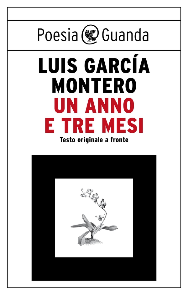 Un anno e tre mesi - Librerie.coop Un anno e tre mesi - Librerie.coop
