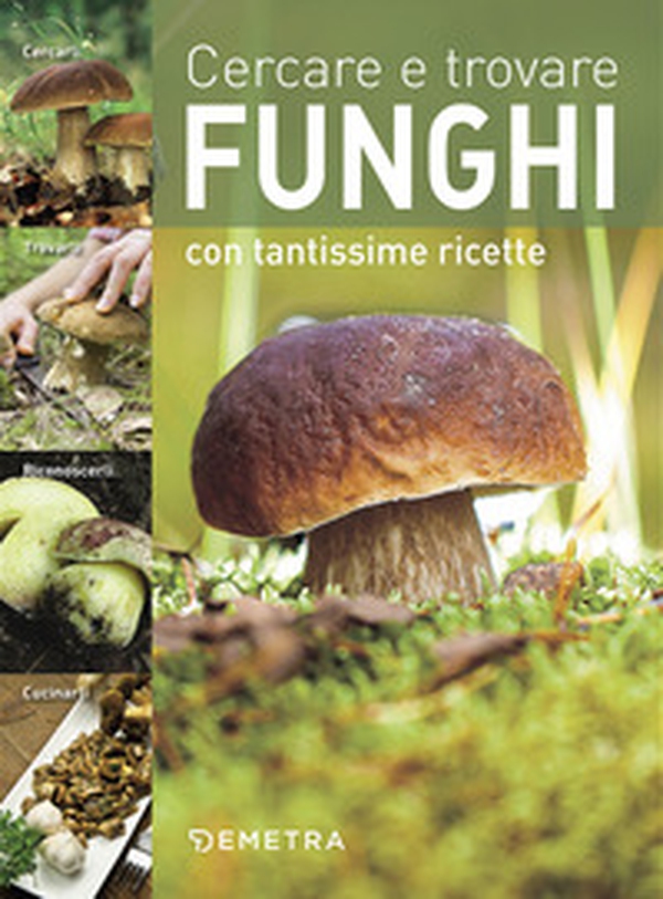 Cercare e trovare funghi. Cercarli, trovarli, riconoscerli, cucinarli - Librerie.coop Cercare e trovare funghi. Cercarli, trovarli, riconoscerli, cucinarli - Librerie.coop