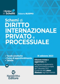 Schemi di diritto internazionale privato e processuale - Librerie.coop Schemi di diritto internazionale privato e processuale - Librerie.coop