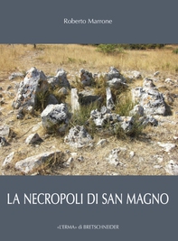 Necropoli di San Magno - Librerie.coop