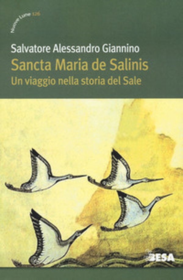 Sancta Maria de Salinis. Un viaggio nella storia del Sale - Librerie.coop Sancta Maria de Salinis. Un viaggio nella storia del Sale - Librerie.coop