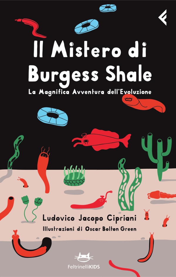 Il mistero di Burgess Shale - Librerie.coop Il mistero di Burgess Shale - Librerie.coop