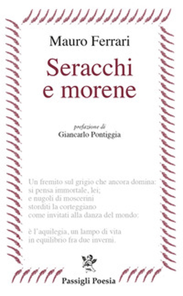 Seracchi e morene - Librerie.coop Seracchi e morene - Librerie.coop
