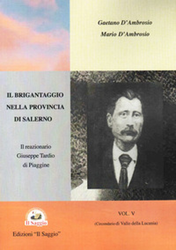 Il brigantaggio nella provincia di Salerno - Vol. 5 - Librerie.coop Il brigantaggio nella provincia di Salerno - Vol. 5 - Librerie.coop