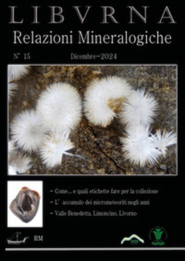 Relazioni mineralogiche. Libvrna - Vol. 15 - Librerie.coop Relazioni mineralogiche. Libvrna - Vol. 15 - Librerie.coop