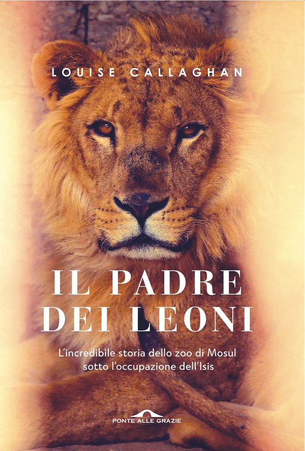 Il Padre dei leoni - Librerie.coop Il Padre dei leoni - Librerie.coop