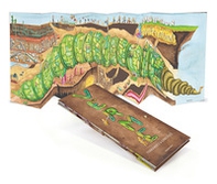 Verme - Librerie.coop