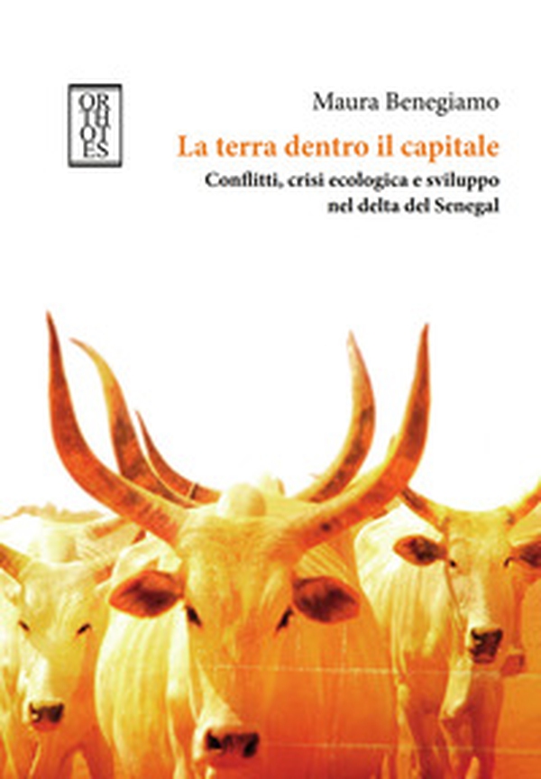La terra dentro il capitale. Conflitti, crisi ecologica e sviluppo nel delta del Senegal - Librerie.coop La terra dentro il capitale. Conflitti, crisi ecologica e sviluppo nel delta del Senegal - Librerie.coop