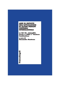 Aree di criticità nell'applicazione di alcuni principi contabili internazionali. Lo IAS 38 - Intangibile Assets e l'Ifrs 3 - Business Combinations - Librerie.coop