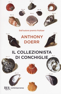 Il collezionista di conchiglie - Librerie.coop