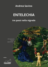Entelechia. Tre passi nella nigredo - Librerie.coop