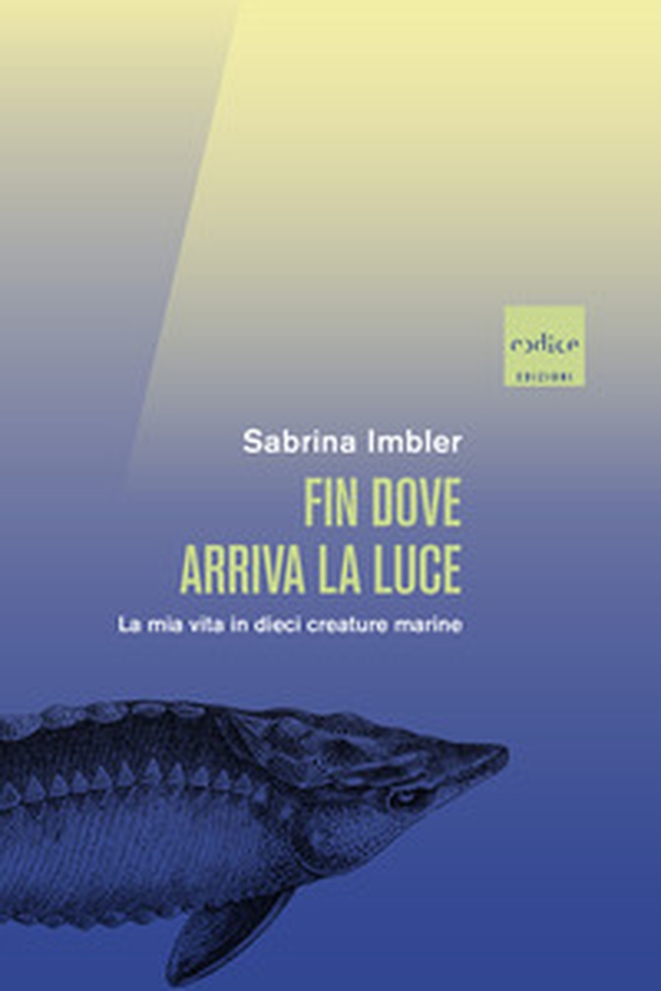 Fin dove arriva la luce. La mia vita in dieci creature marine - Librerie.coop Fin dove arriva la luce. La mia vita in dieci creature marine - Librerie.coop