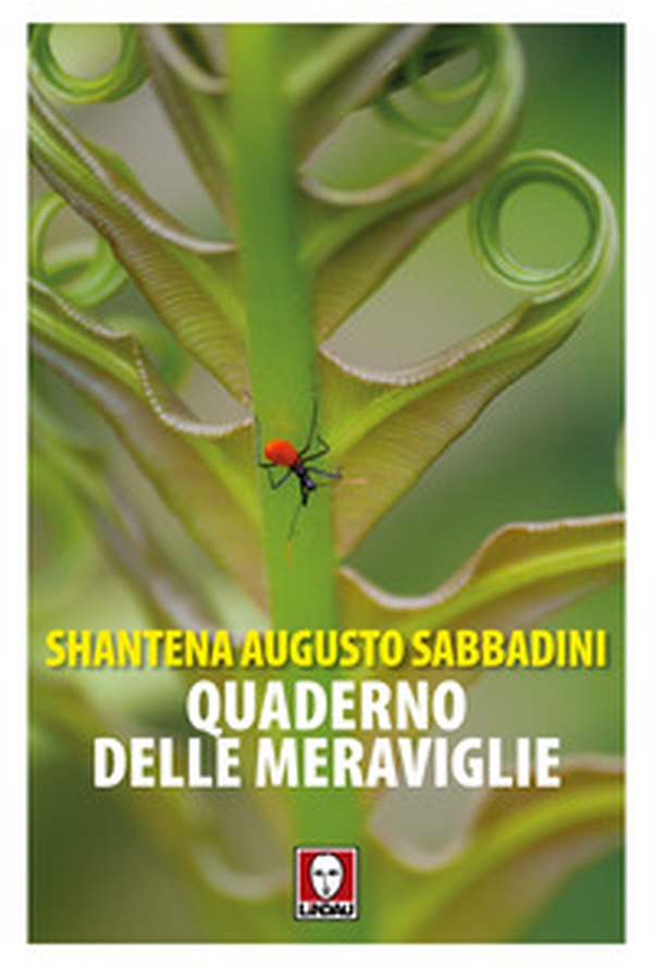 Quaderno delle meraviglie - Librerie.coop Quaderno delle meraviglie - Librerie.coop