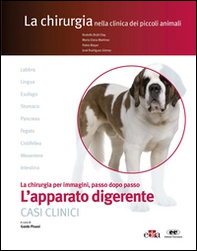 L'apparato digerente. Casi clinici. La chirurgia per immagini, passo dopo passo - Librerie.coop