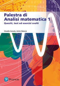 Palestra di analisi matematica 1. Quesiti, test ed esercizi svolti - Librerie.coop