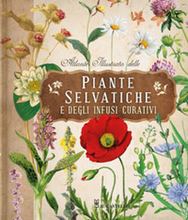 Atlante illustrato delle piante selvatiche e degli infusi curativi - Librerie.coop Atlante illustrato delle piante selvatiche e degli infusi curativi - Librerie.coop