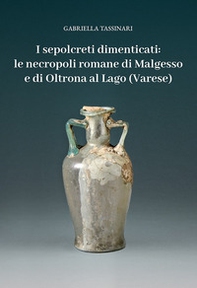 I sepolcreti dimenticati: le necropoli romane di Malgesso e di Oltrona al Lago (Varese) - Librerie.coop