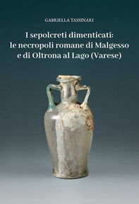 I sepolcreti dimenticati: le necropoli romane di Malgesso e di Oltrona al Lago (Varese) - Librerie.coop
