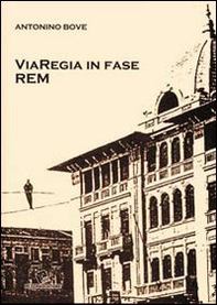 Viaregia in fase rem - Librerie.coop