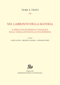 Nel labirinto della materia - Librerie.coop