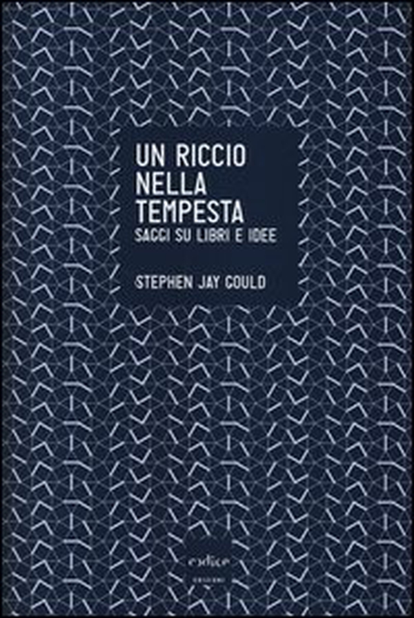 Un riccio nella tempesta. Saggi su libri e idee - Librerie.coop Un riccio nella tempesta. Saggi su libri e idee - Librerie.coop