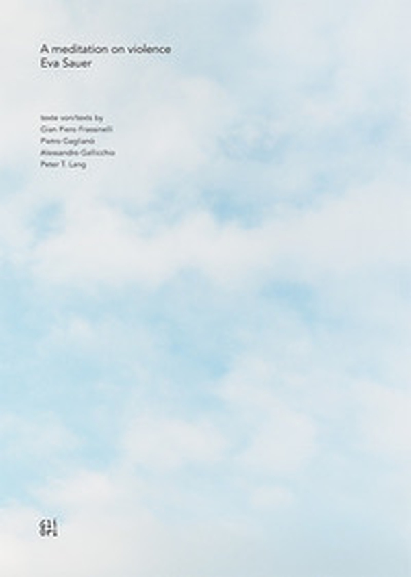 A meditation on violence. Eva Sauer. Ediz. inglese e tedesca - Librerie.coop