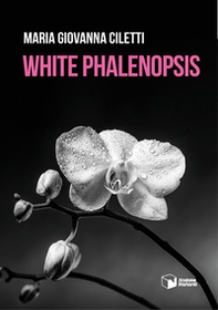 White Phalenopsis - Librerie.coop White Phalenopsis - Librerie.coop