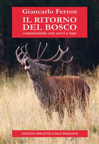 Il ritorno del bosco. Camminando con cervi e lupi - Librerie.coop